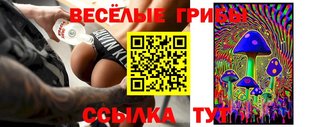 Меф кристаллы  Сальск  ГАШИШ  Бошки Шишки  Вход с VPN  Меф 